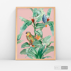 Cuadro Aves Loro Real