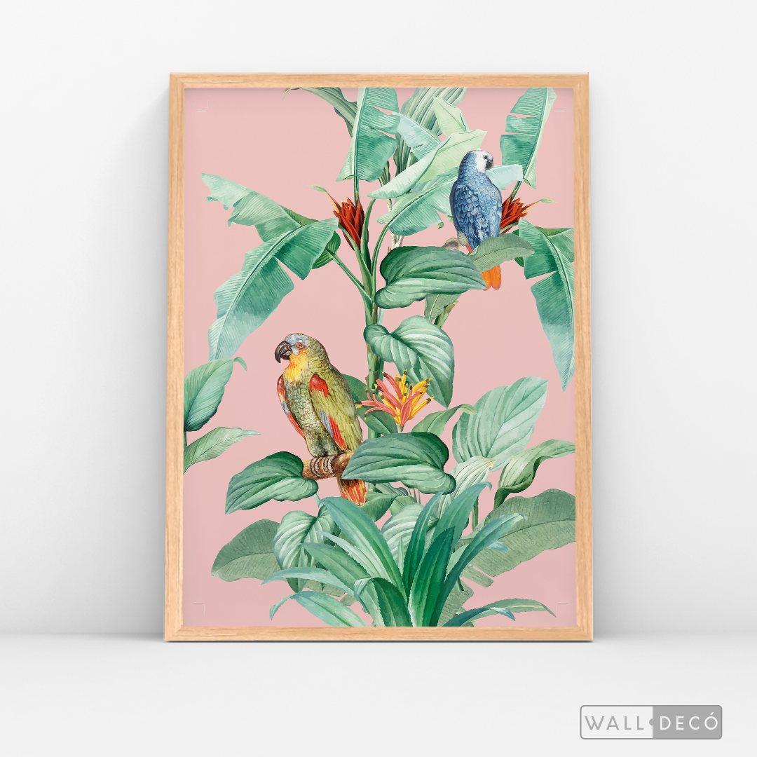 Cuadro Aves Loro Real