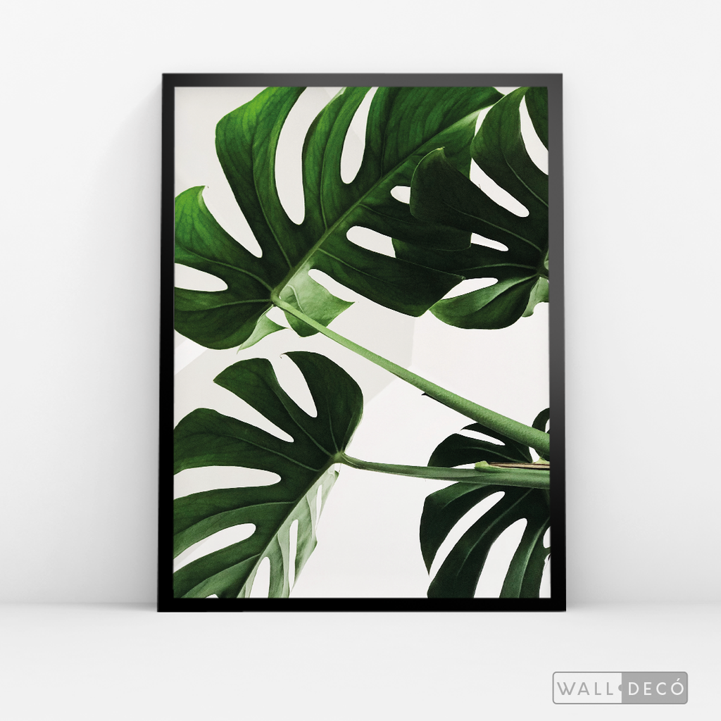 Cuadro Botánico BALAZO REAL - WalldecóStore