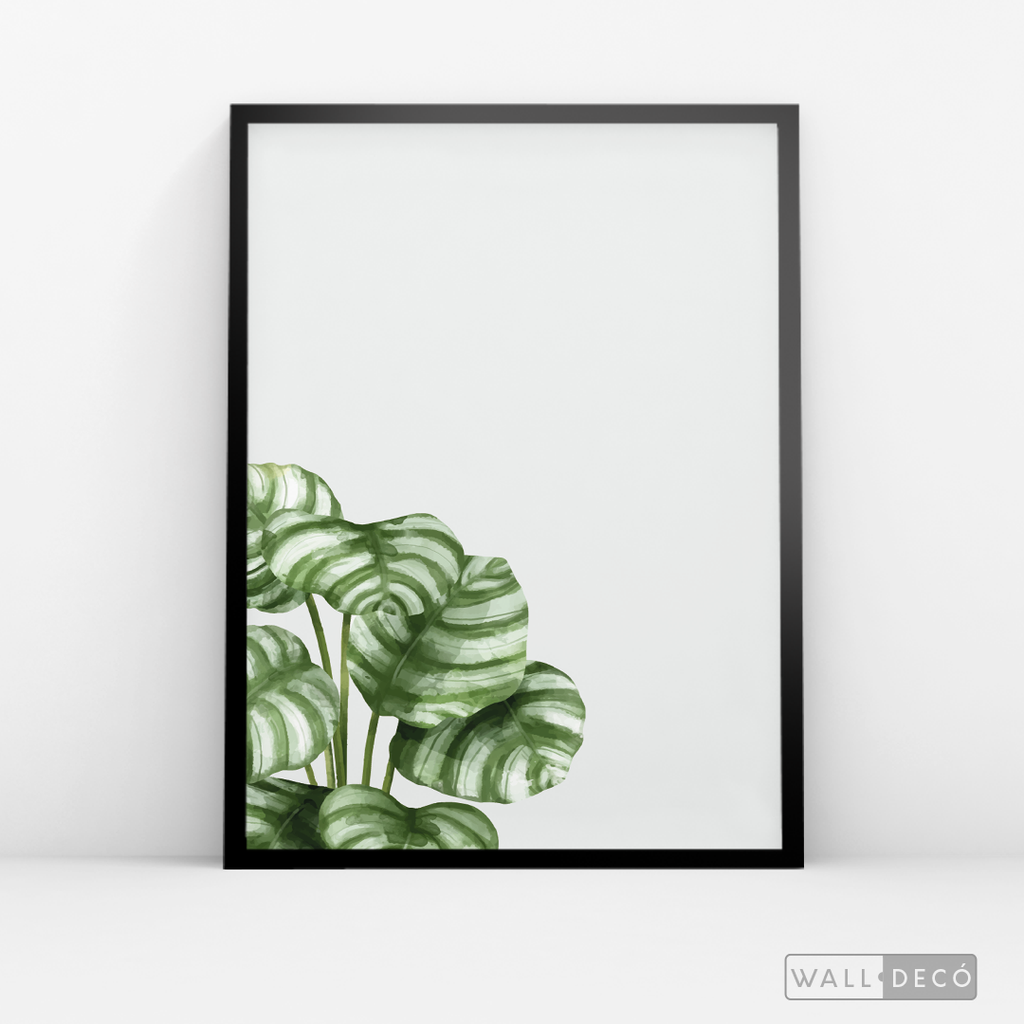 Cuadro Botánico GALATHEA - WalldecóStore