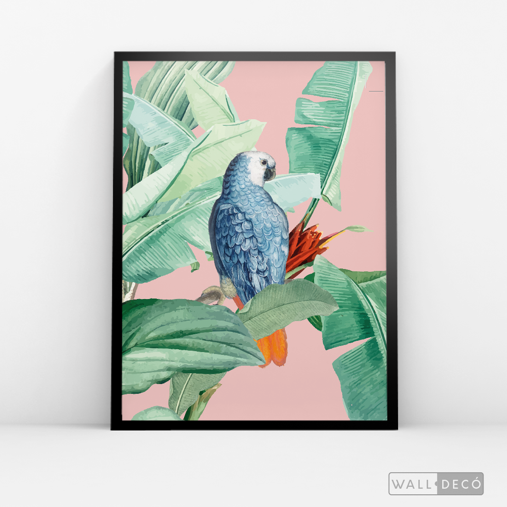 Cuadro Aves Loro Real Azul