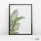 Cuadro Botánico HELECHO - WalldecóStore