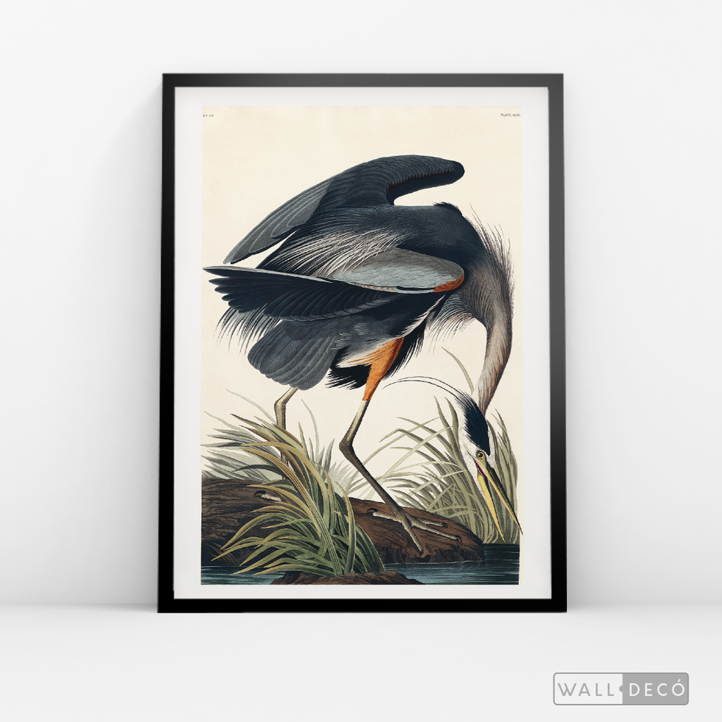 Cuadro Aves Garza