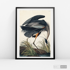 Cuadro Aves Garza