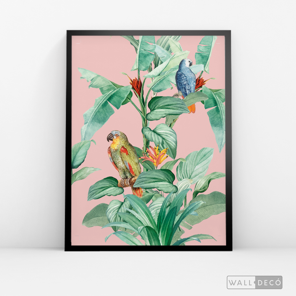 Cuadro Aves Loro Real