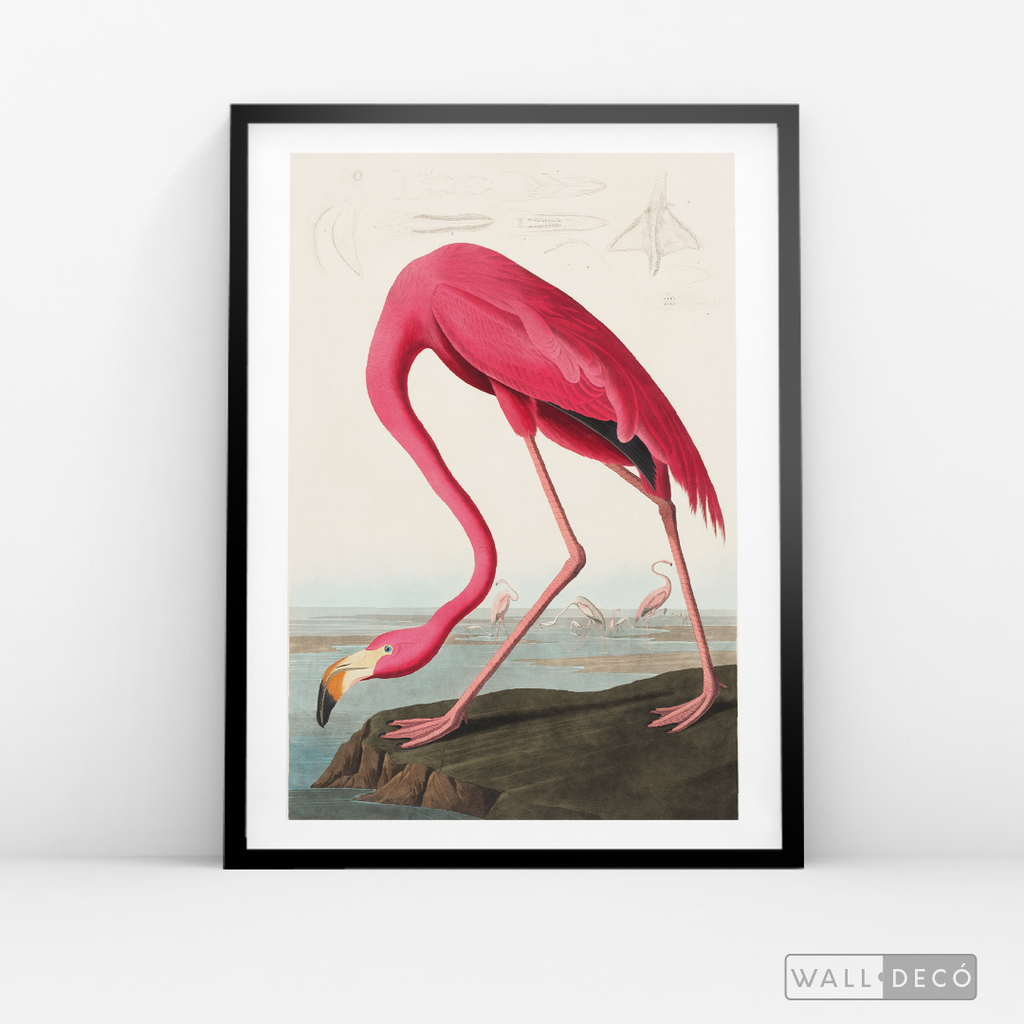 Cuadro Aves Flamenco Mayor