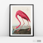 Cuadro Aves Flamenco Mayor
