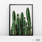 Cuadro Botánico CACTUS - WalldecóStore