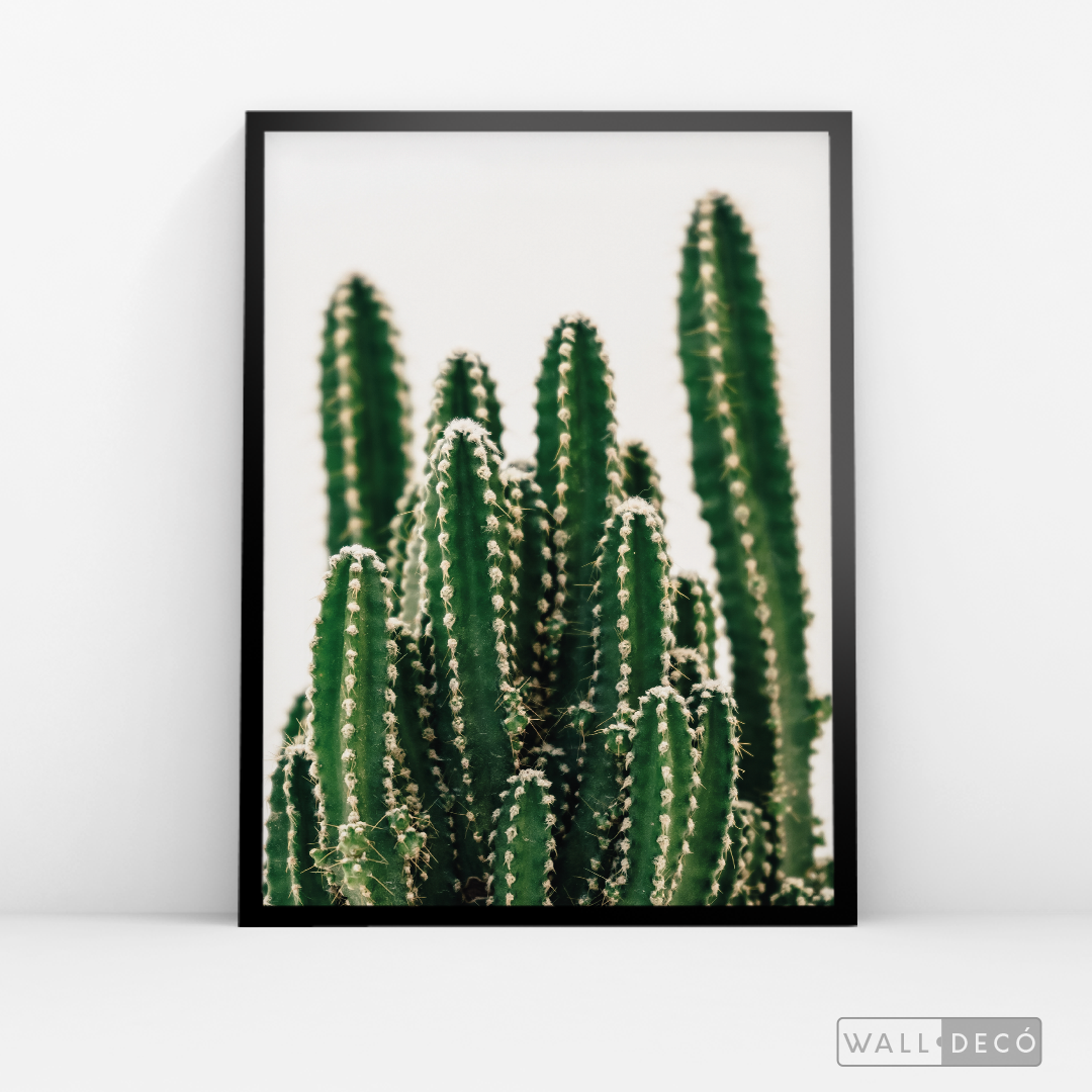 Cuadro Botánico CACTUS - WalldecóStore