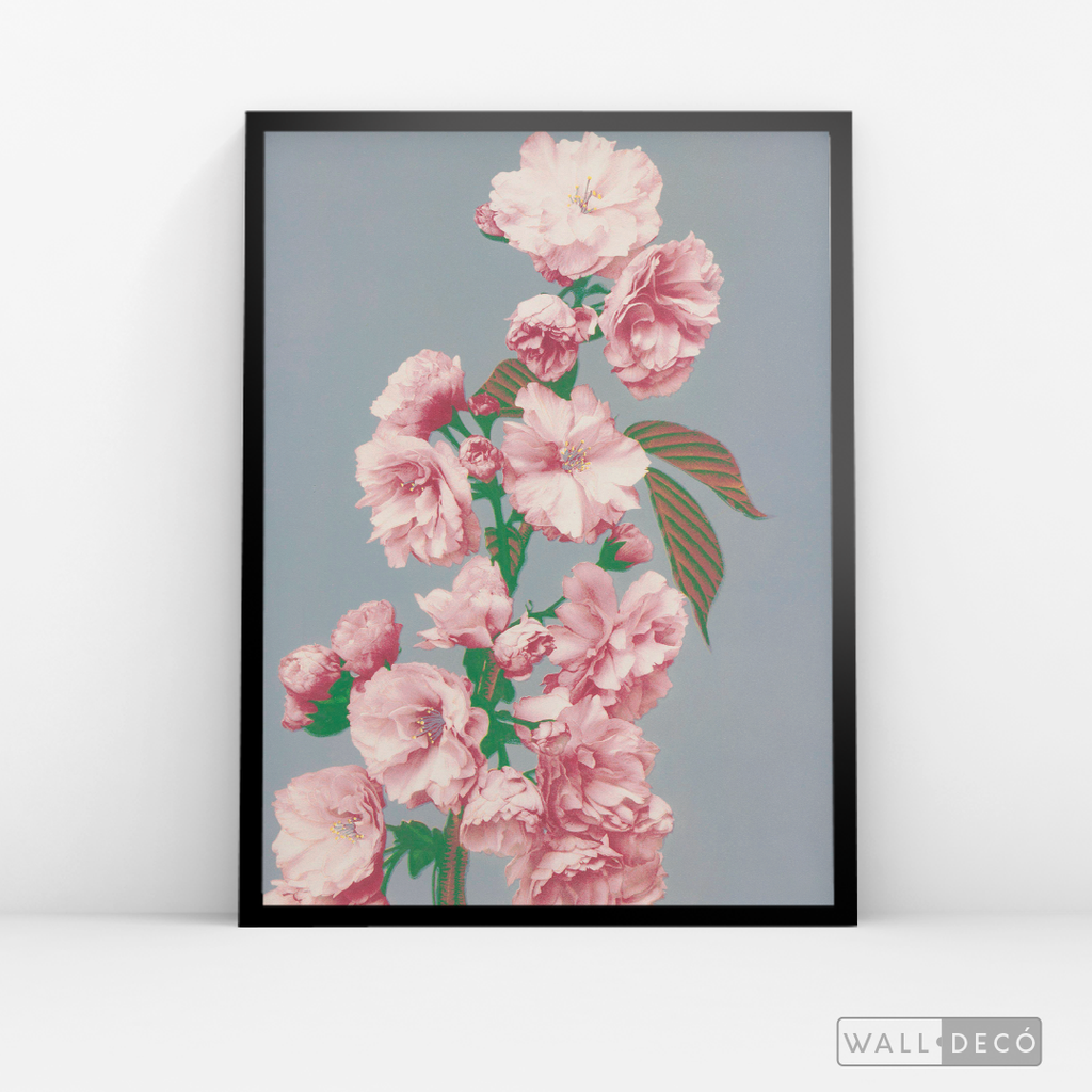 Cuadro Botánico Flores Alma