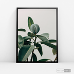 Cuadro Botánico CHEFLERA - WalldecóStore