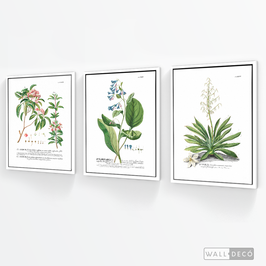 Tríptico Botánico Botany (set x 3)