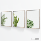 Tríptico Natural - WalldecóStore