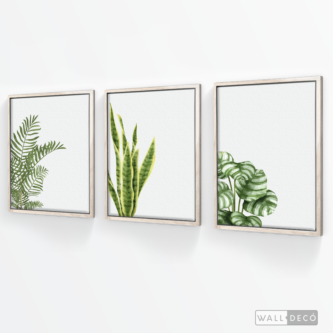 Tríptico Natural - WalldecóStore