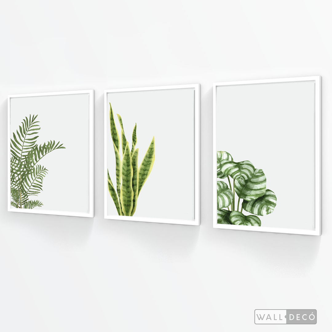 Tríptico Natural - WalldecóStore