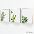 Tríptico Natural - WalldecóStore