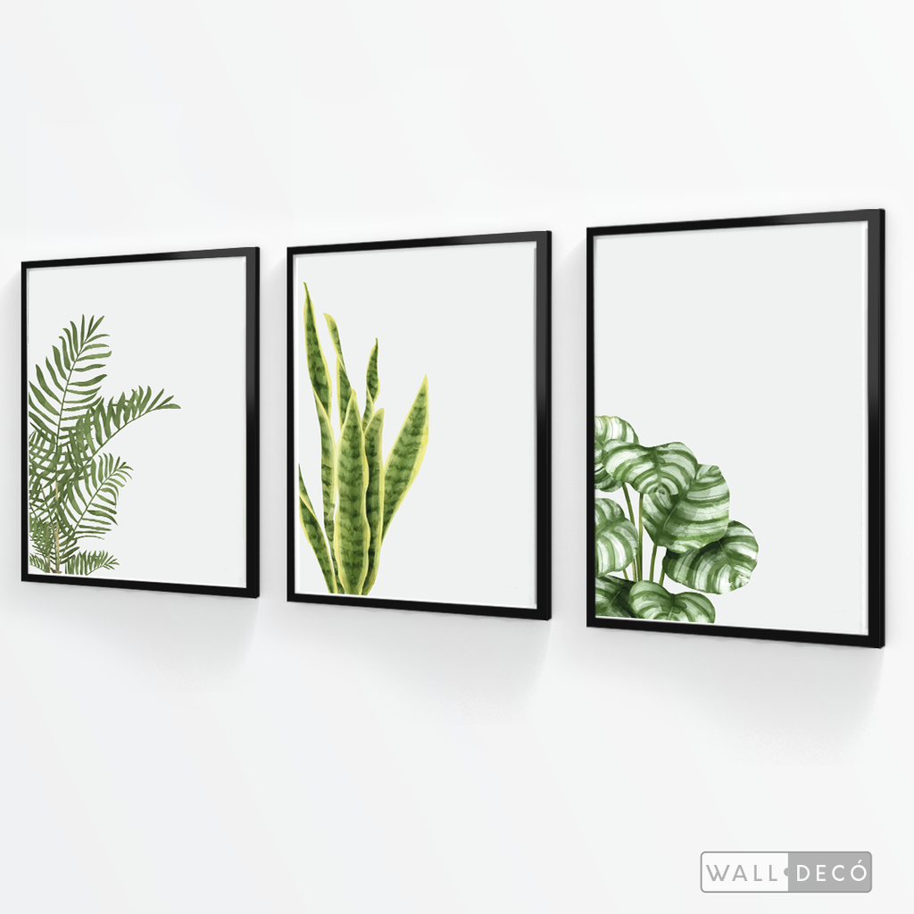 Tríptico Natural - WalldecóStore