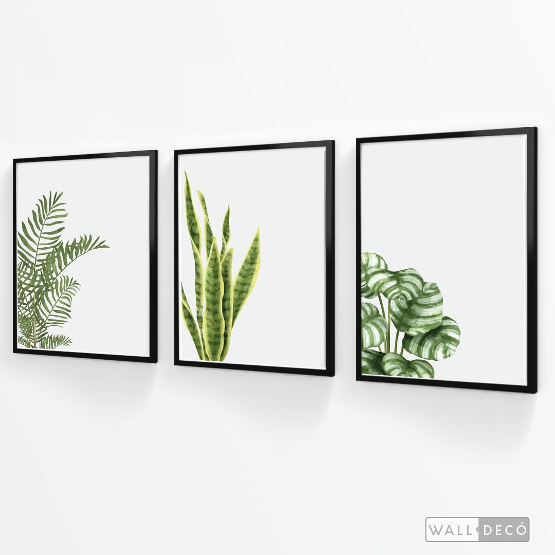Tríptico Natural - WalldecóStore